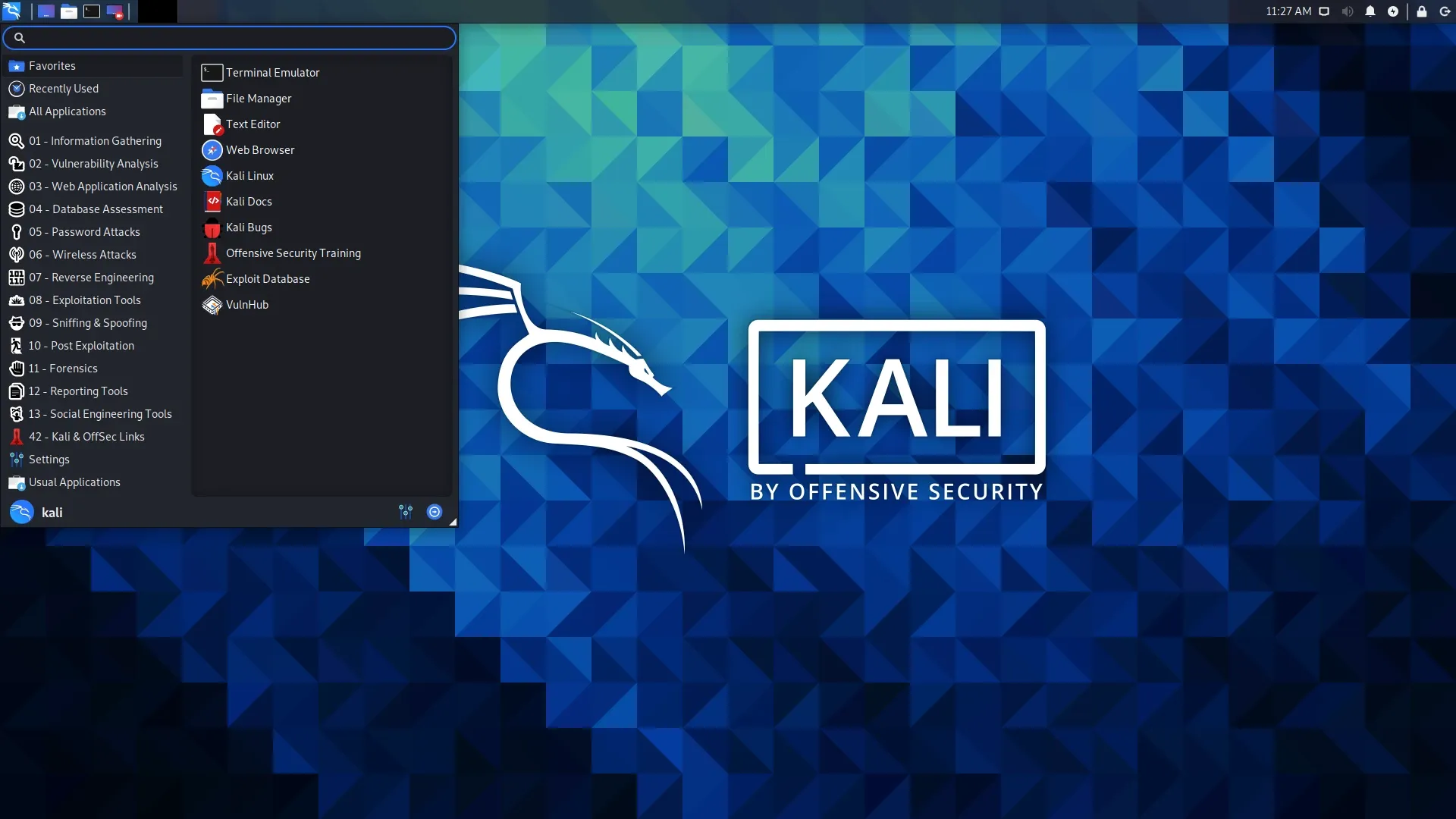 Kali Linux: Das Terminal mit den mitgelieferten Werkzeugen